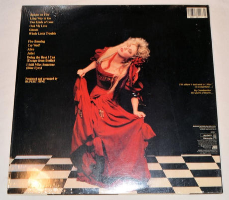 Nicks, Stevie - Other Side Of The Mirror