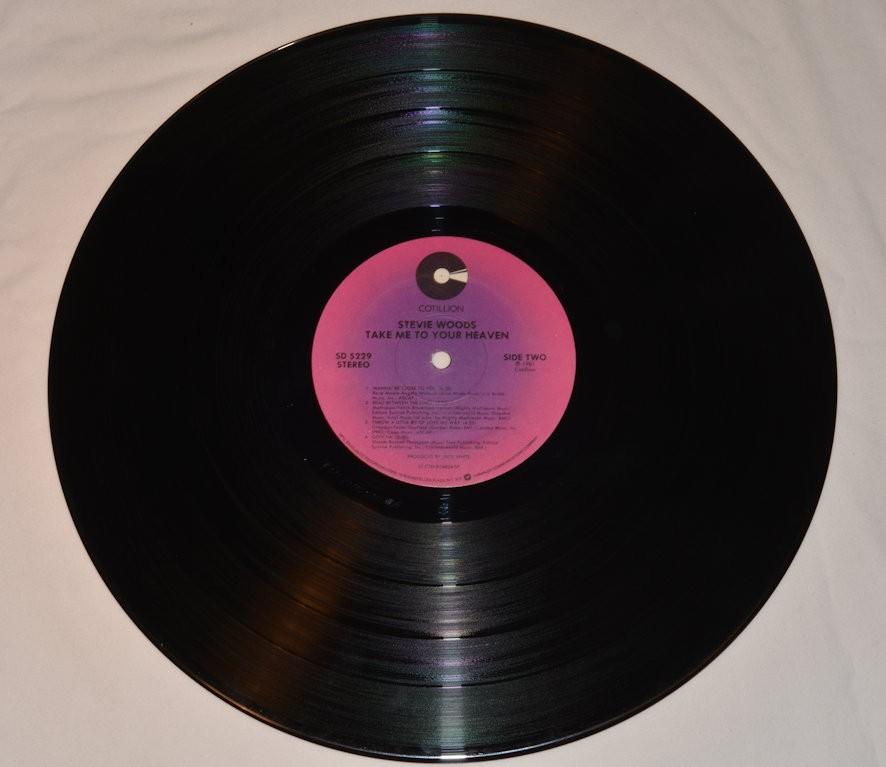 Woods, Stevie - Take Me To Your Heaven