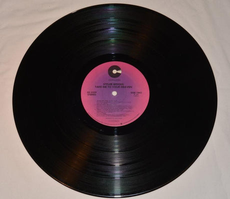 Woods, Stevie - Take Me To Your Heaven