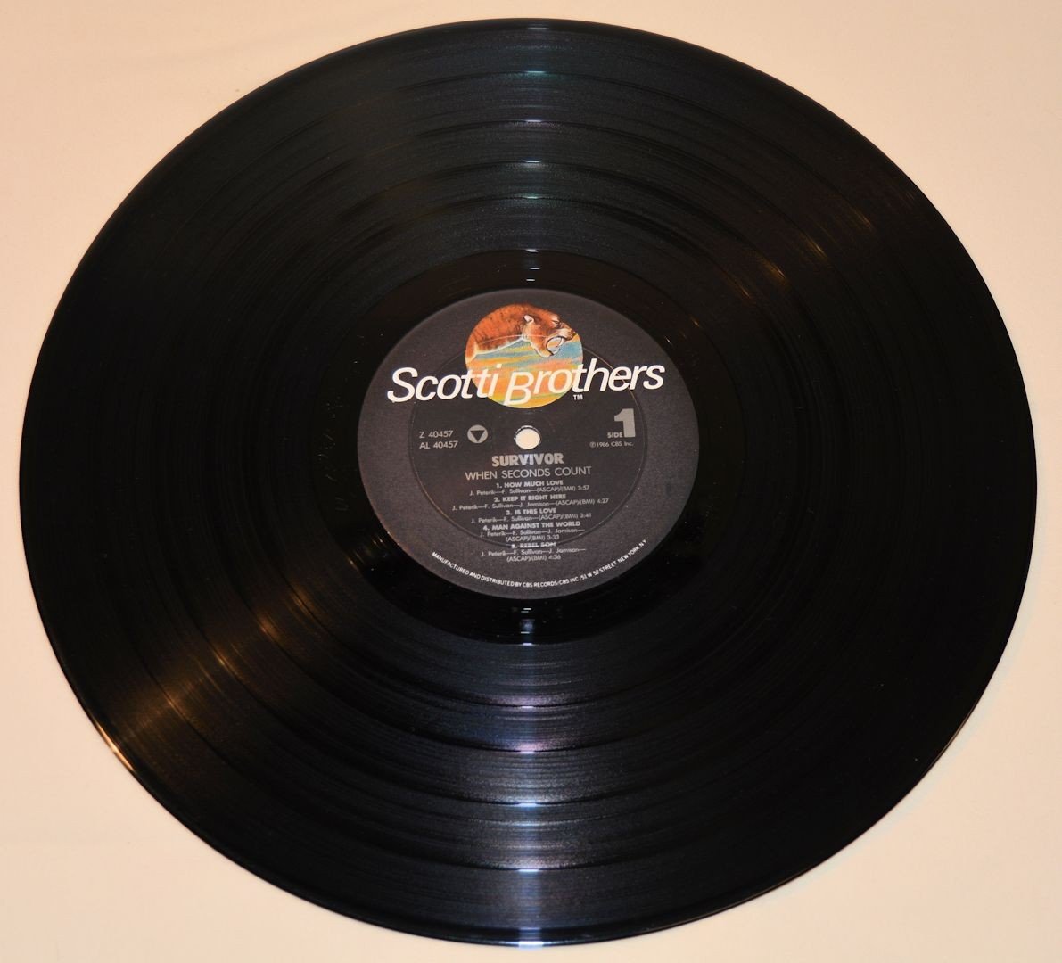 Survivor - When Seconds Count