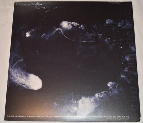 Swans - My Father