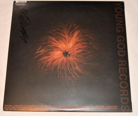 Swans - The Seer
