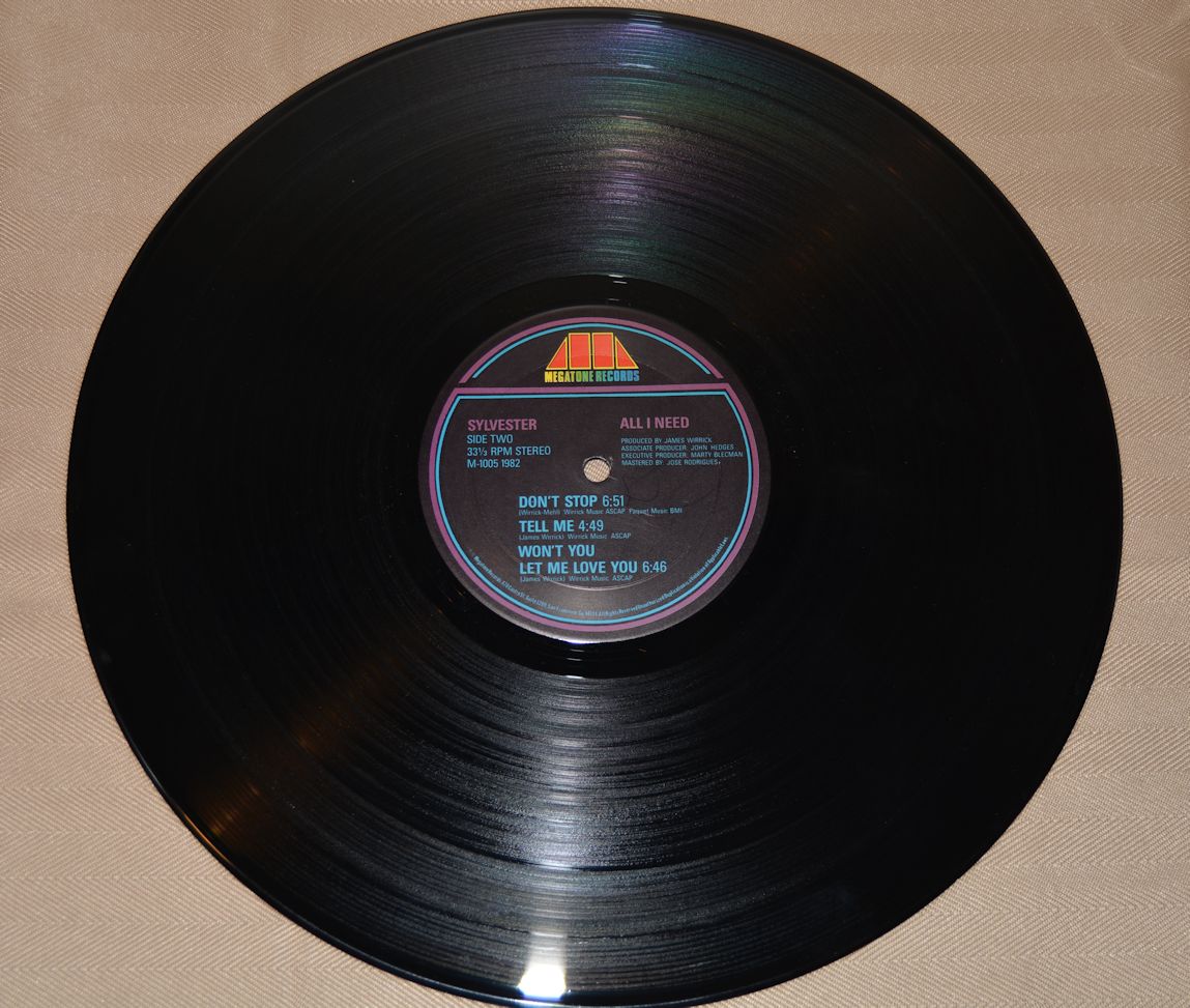 Sylvester - All I Need