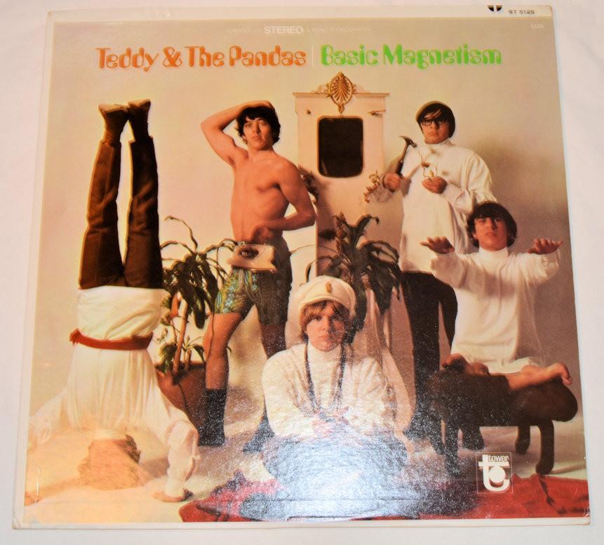 Teddy & The Pandas - Basic Magnetism