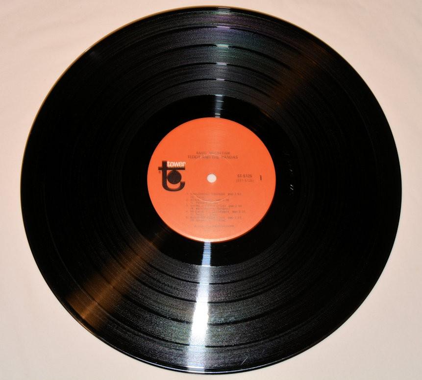 Teddy & The Pandas - Basic Magnetism