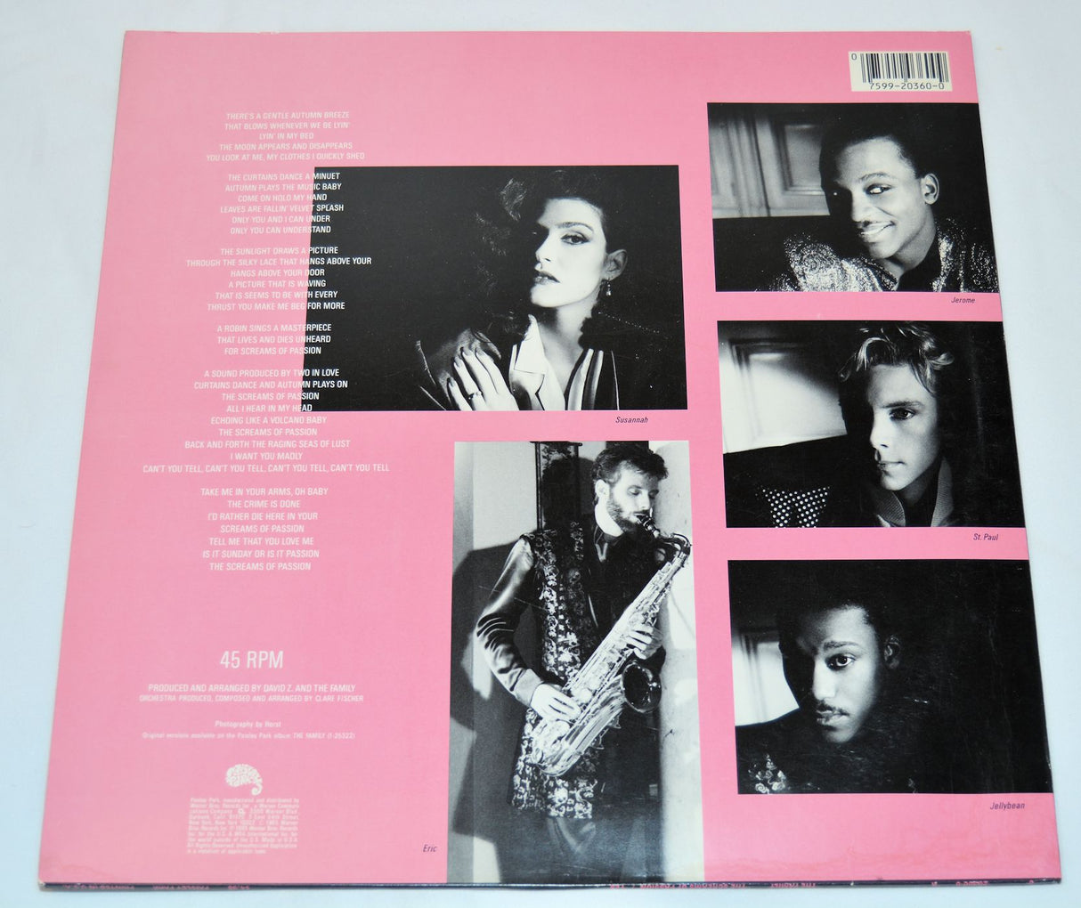 Family, The - The Screams Of Passion