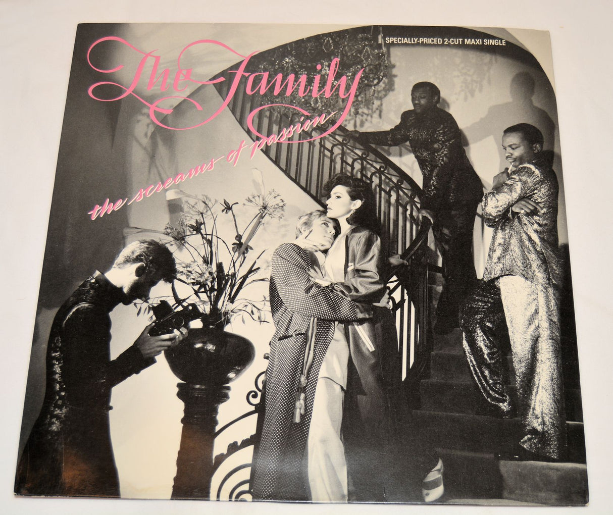 Family, The - The Screams Of Passion