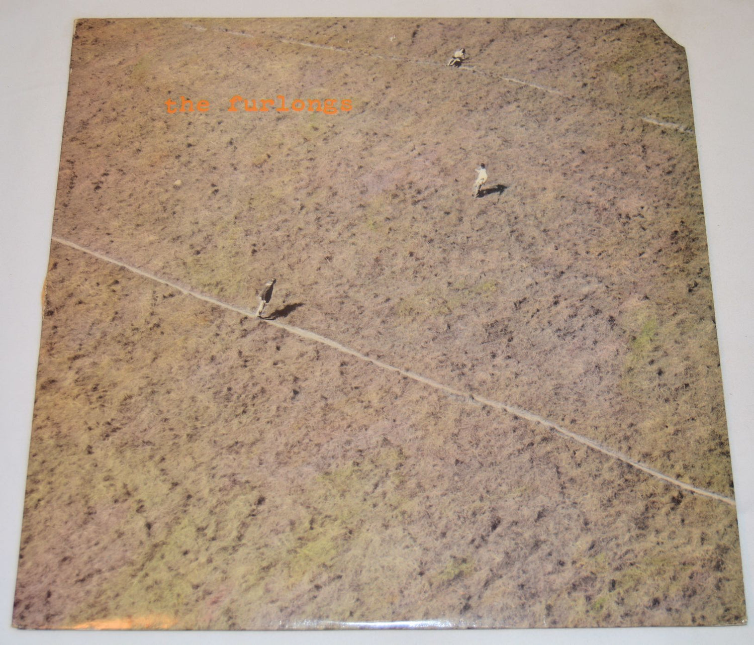 Furlongs, The - 2300 Ward