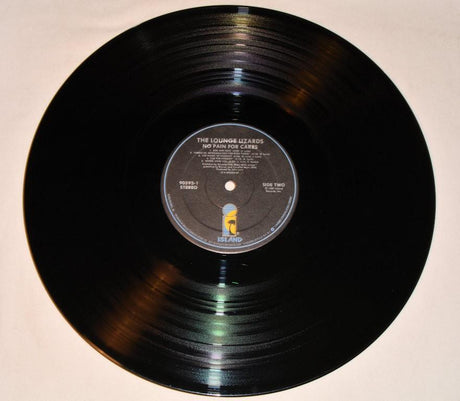 Lounge Lizards - No Pain For Cakes