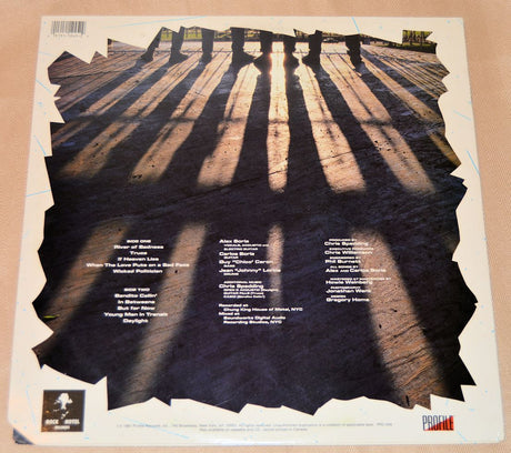 Nils, The - The Nils