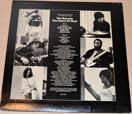 Rascals, The - The Island Of Real