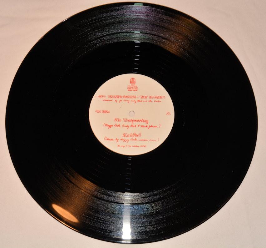 Roches, The - No Trespassing