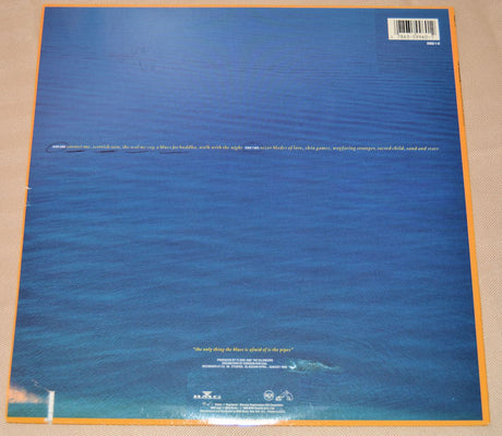 Silencers, The - A Blues For Buddha