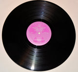 Skunks, The - The Skunks