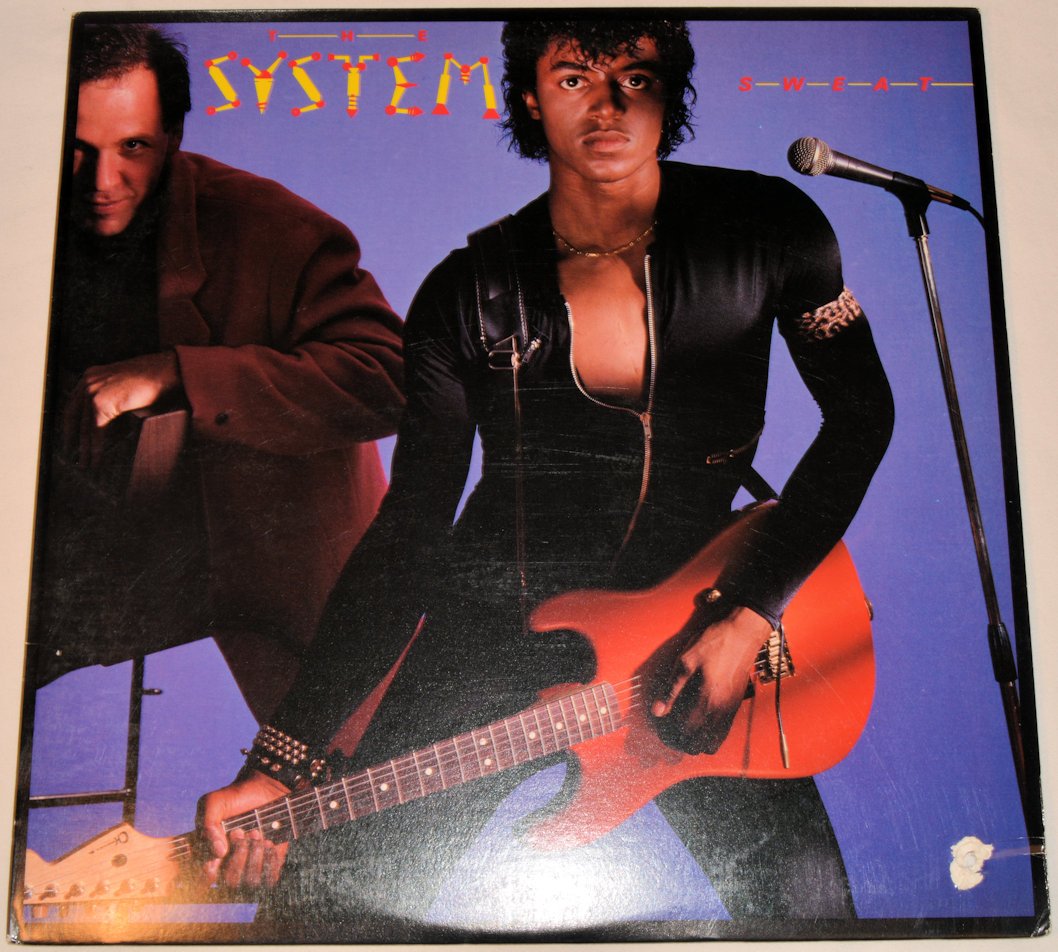 System, The - Sweat