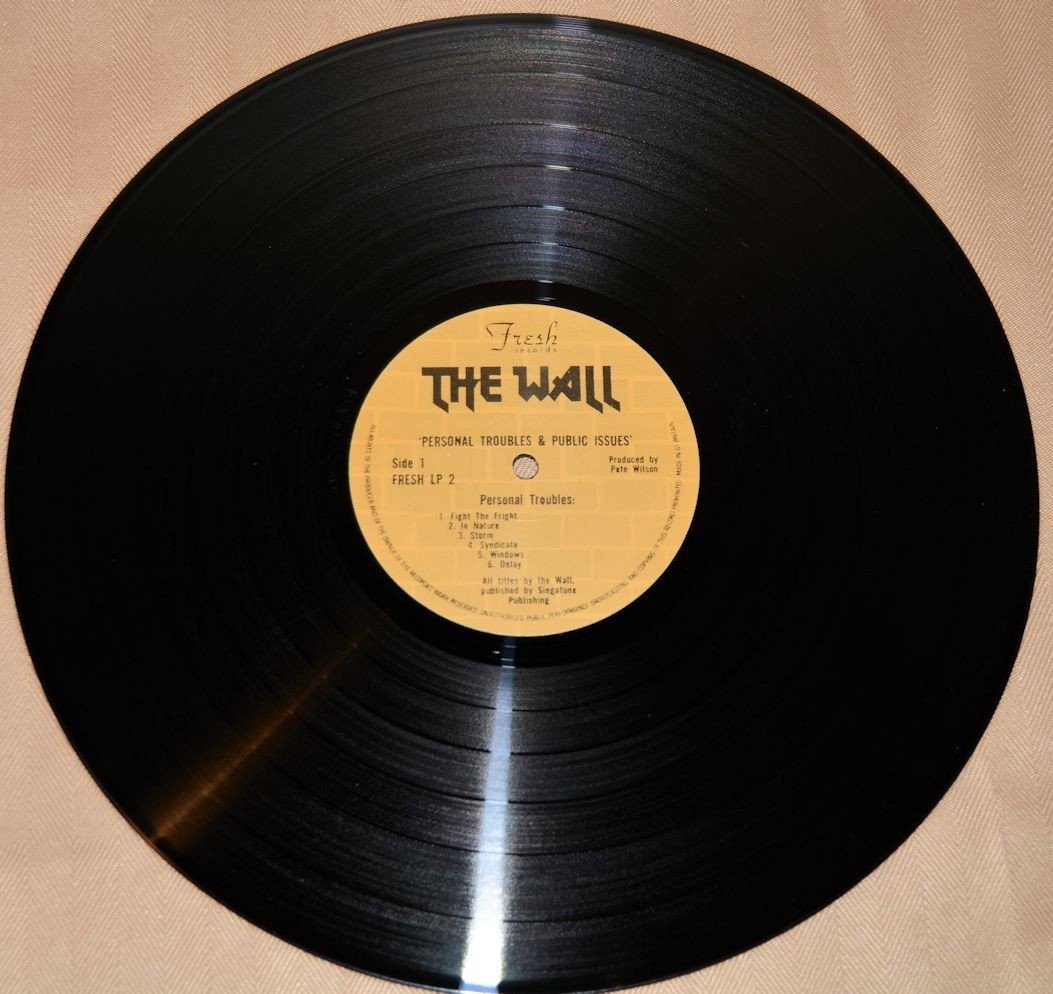 Wall, The - Personal Troubles & Public Issues