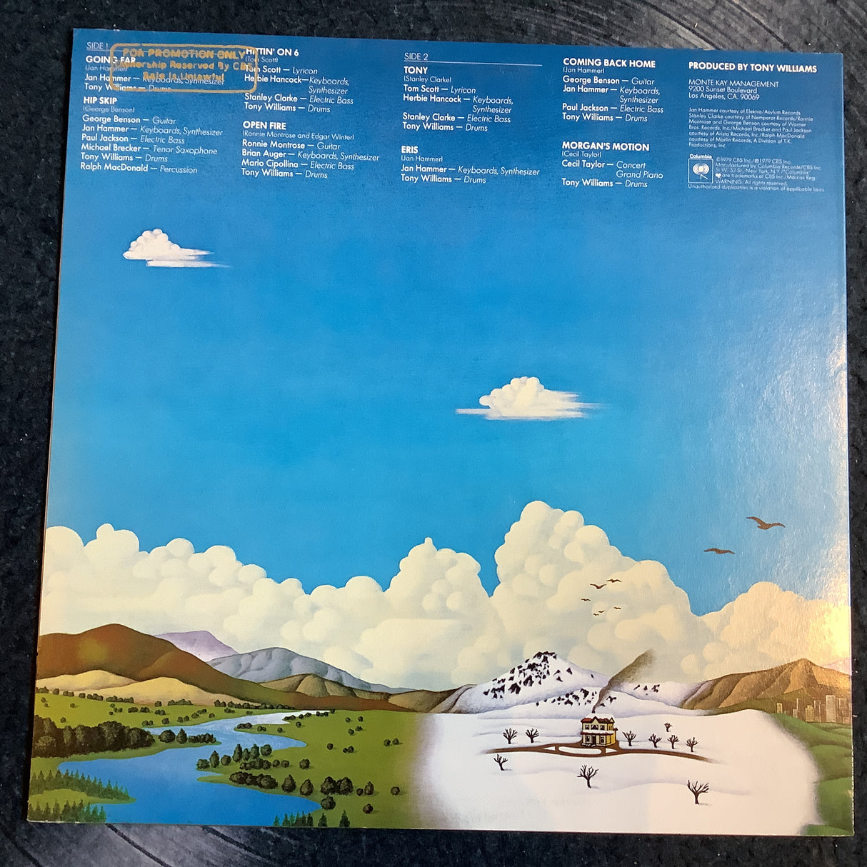 Williams, Tony - Joy Of Flying