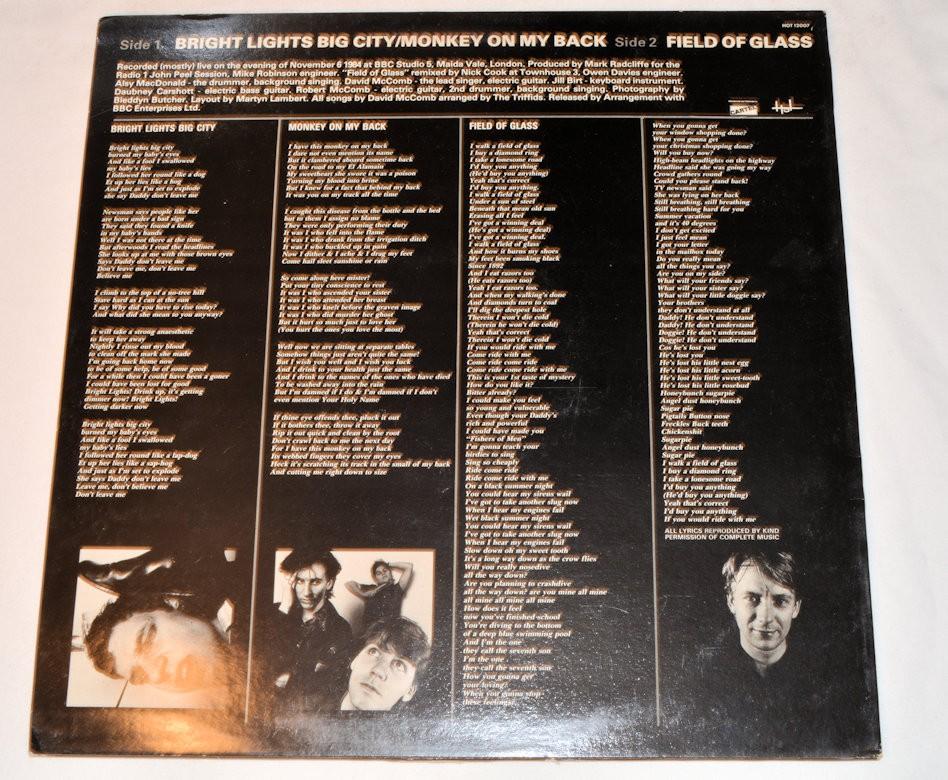 Triffids, The - Field Of Glass