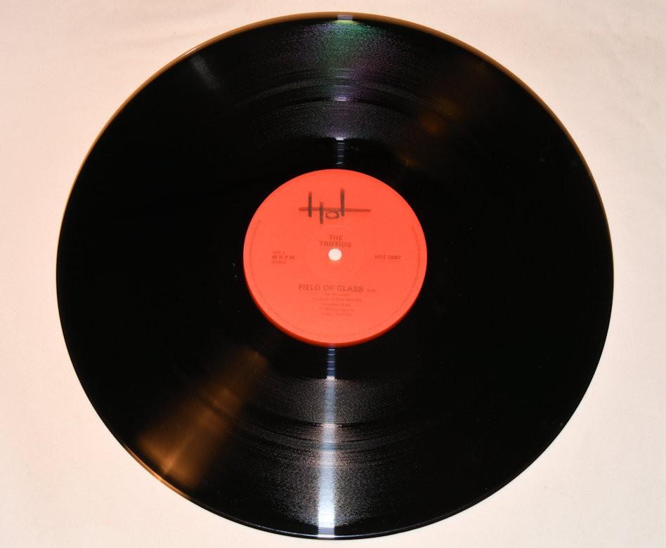 Triffids, The - Field Of Glass