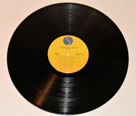 Troggs, The - Vintage Years