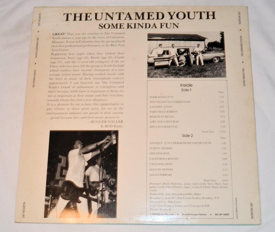Untamed Youth, The - Some Kinda Fun