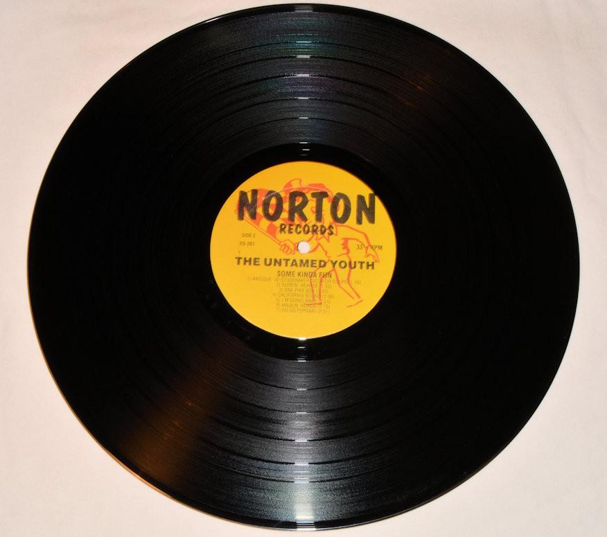 Untamed Youth, The - Some Kinda Fun