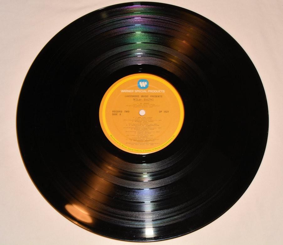Various - Wild Thing