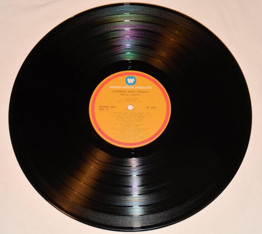 Various - Wild Thing