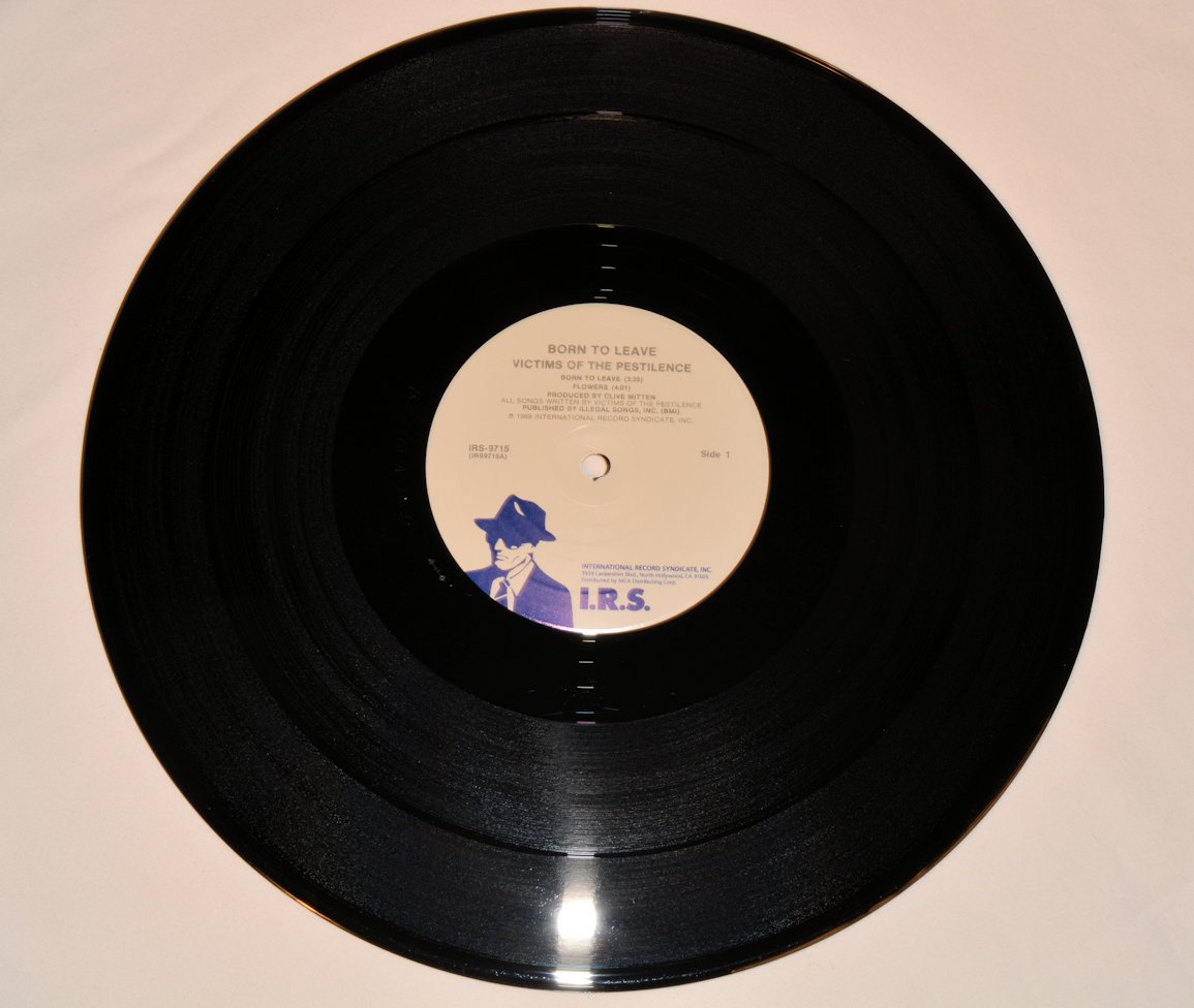 Victims Of The Pestilence - Born To Leave