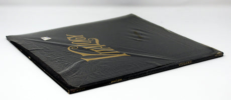 Pearl Jam - Vitalogy