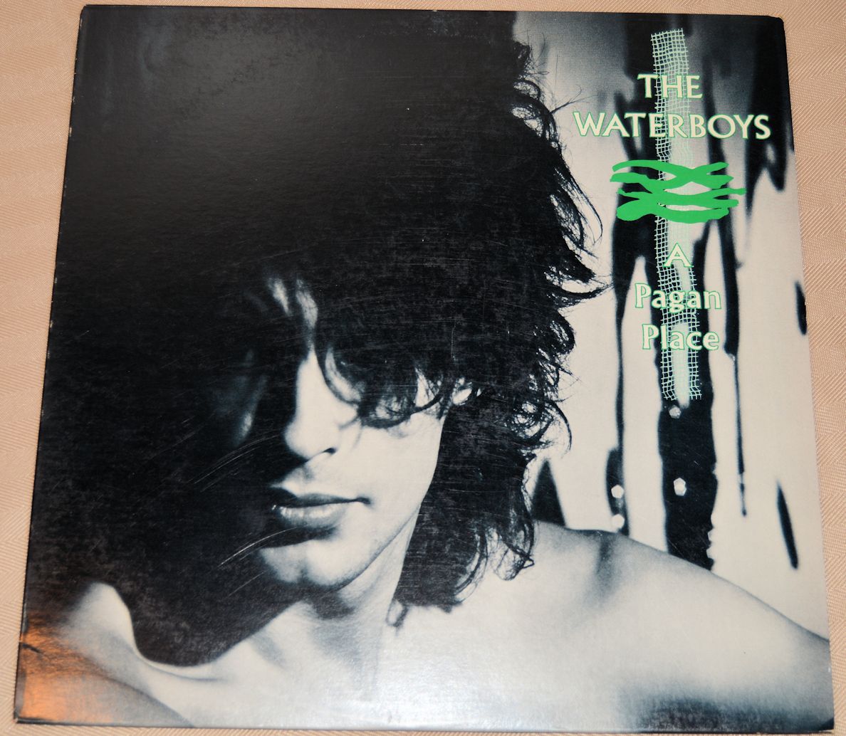 Waterboys, The - A Pagan Place