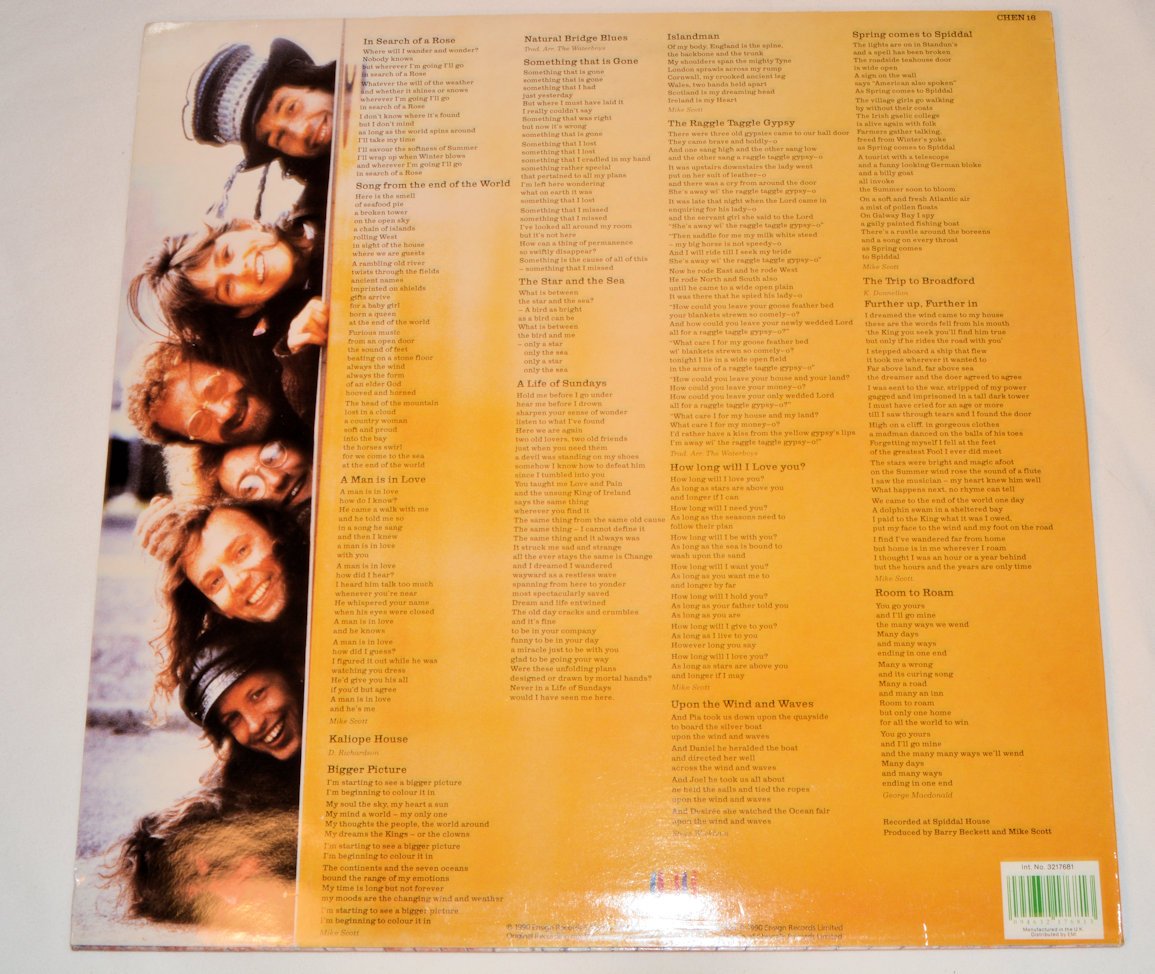 Waterboys, The - Room To Roam