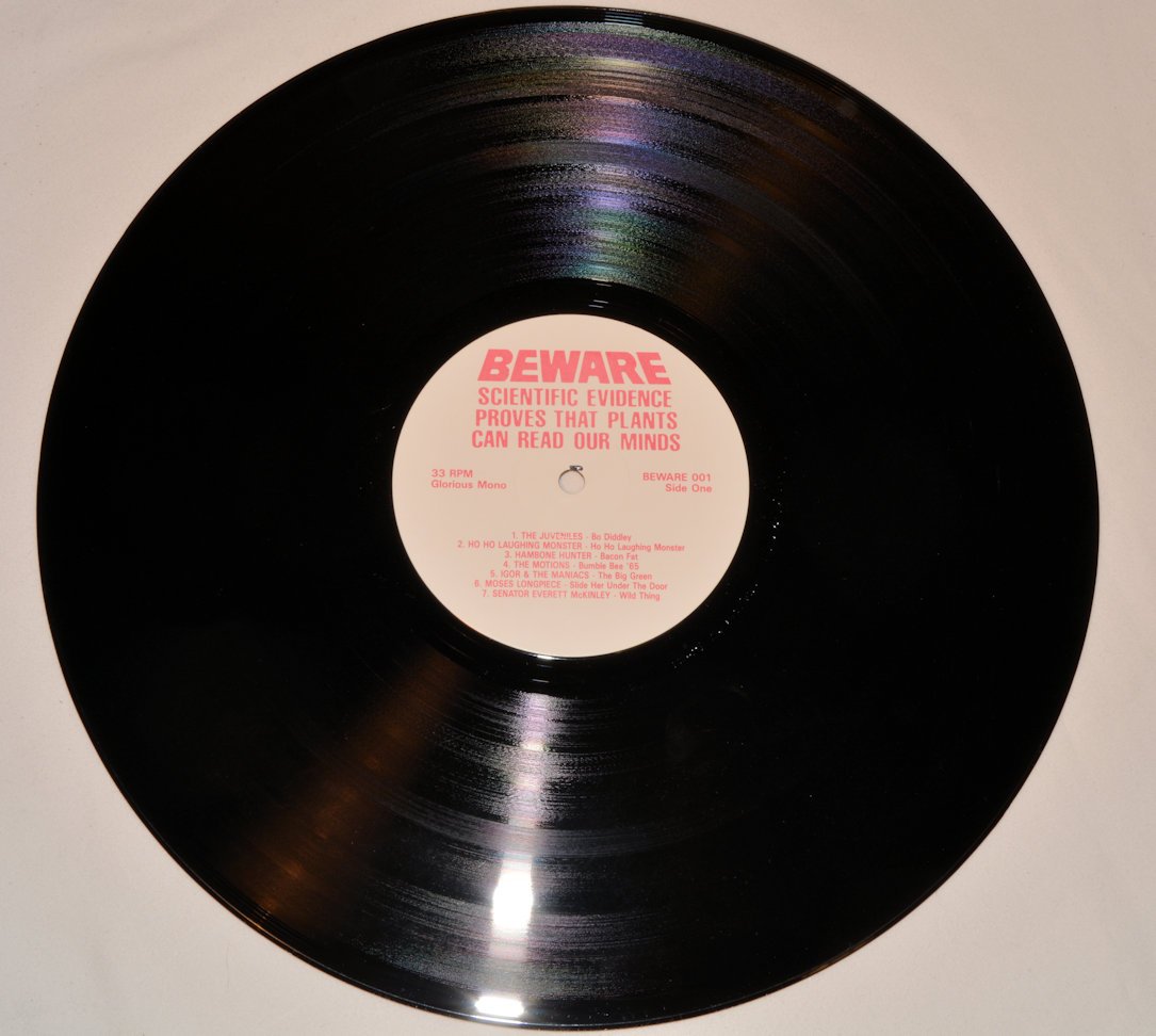 Various - Wavy Gravy