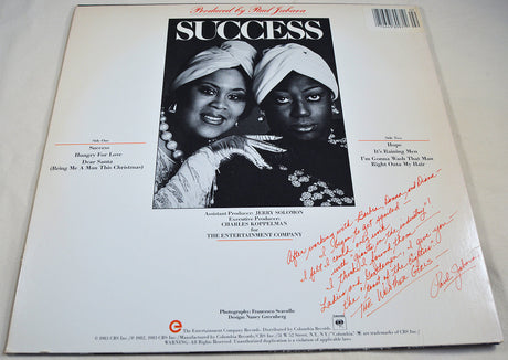 Weather Girls - Succes