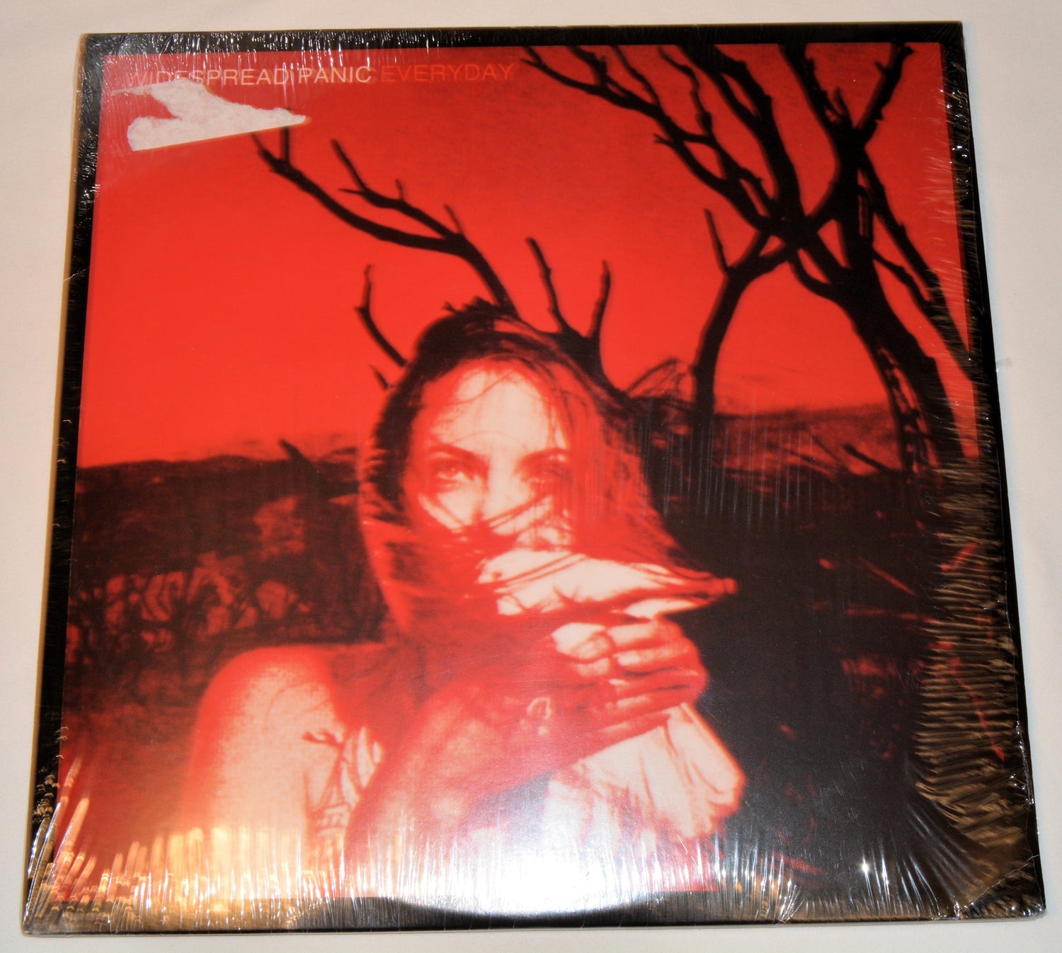 Widespread Panic - Everyday