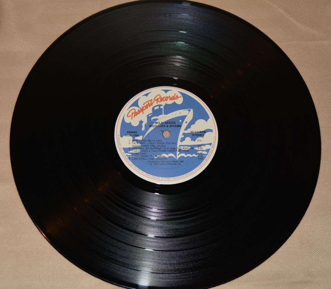 Wild Seeds - Mud Lies & Shame