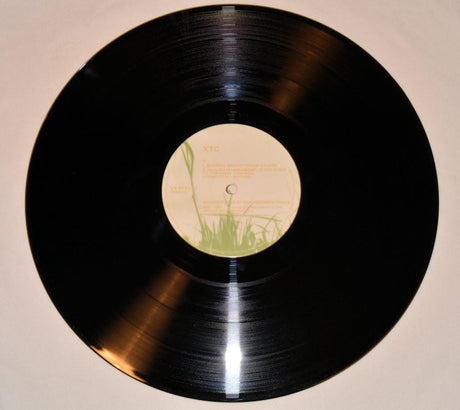 XTC - Love On A Farmboy's Wages