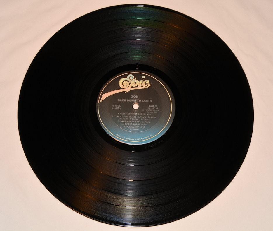 Zon - Back Down To Earth